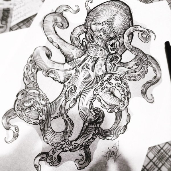 Тату эскизы Кракен осьминог
