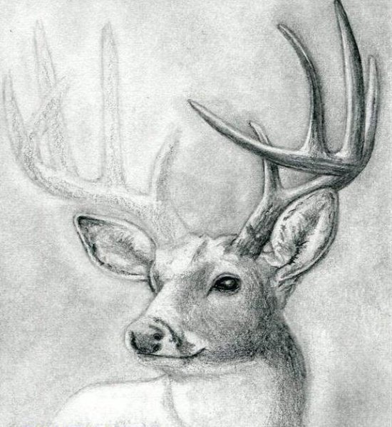 Распеччатка оленёнок Бемби