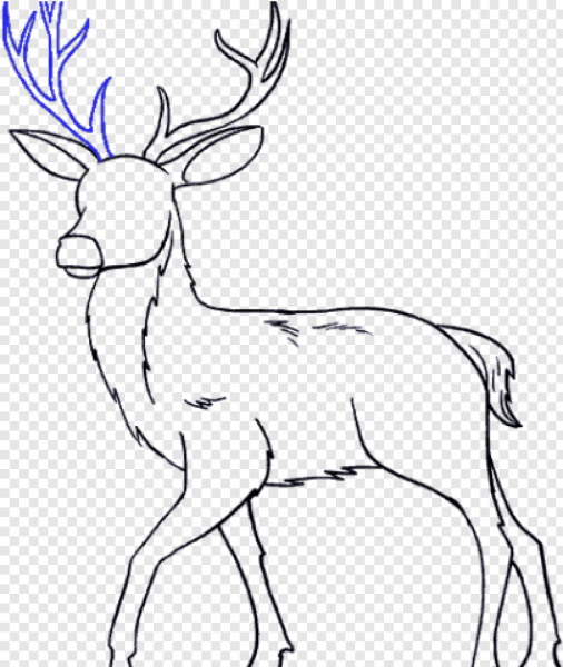 Олененок скетч