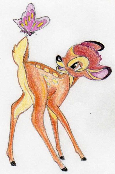 Животные карандашом