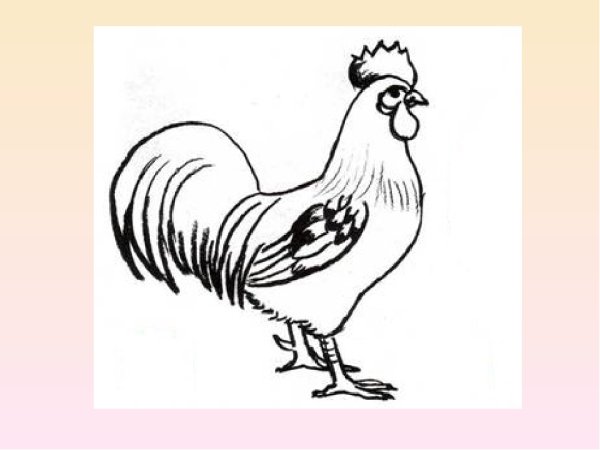 Петух раскраска для детей
