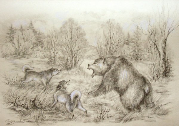 Таежные зарисовки