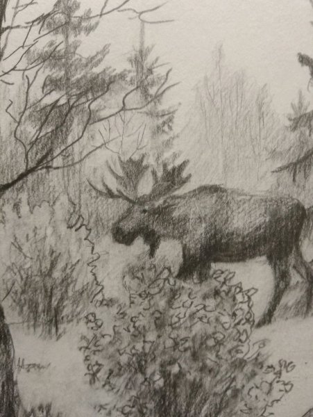 Картина карандашом охотник