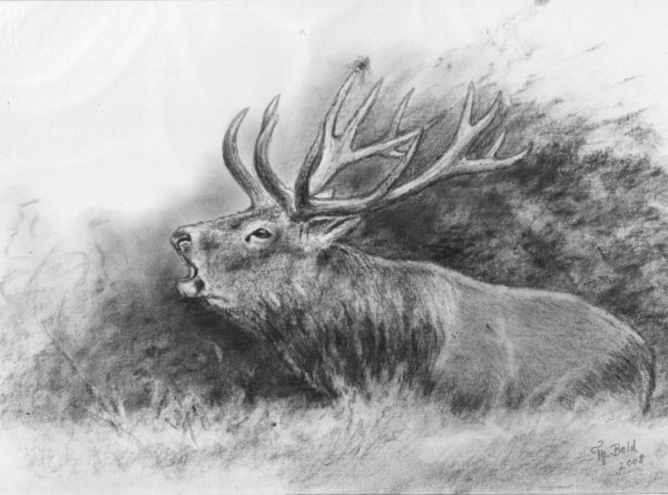 Картины охоты карандашом