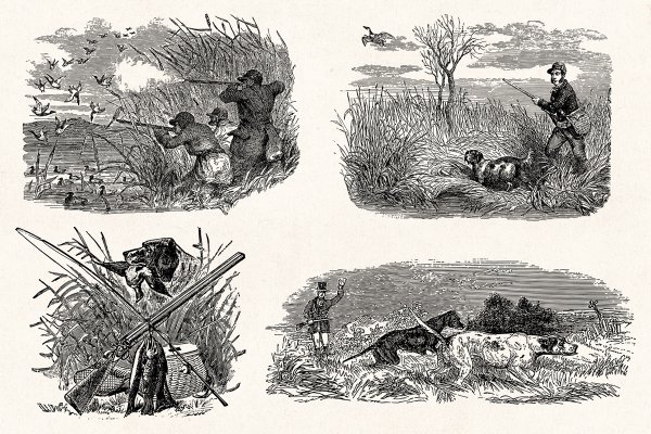 Охота старинная гравюра