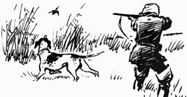 Зарисовки охоты