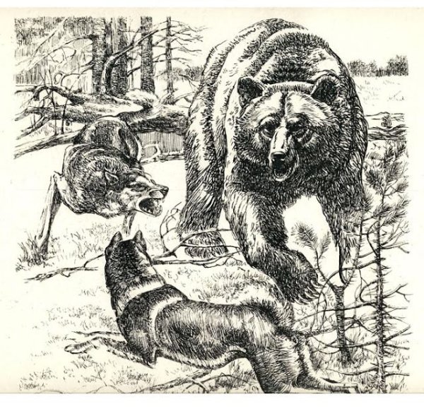 Гравюра на охотничью тематику