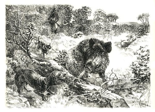 Гравюра охота на кабана