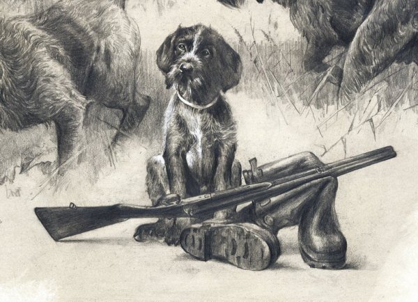 Охотничьи зарисовки