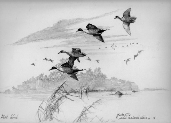 Зарисовки карандашом охота