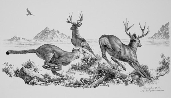 Охота Графика