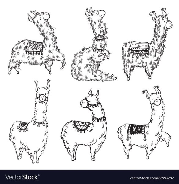 Лама животное