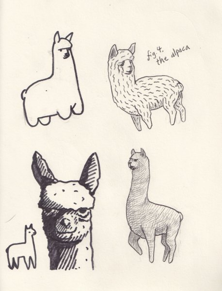 Лама животное рисунок