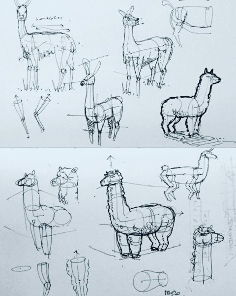 Альпака черно белая