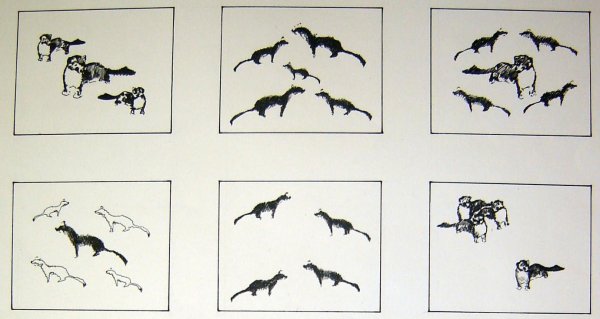 Рисование животных в композиции