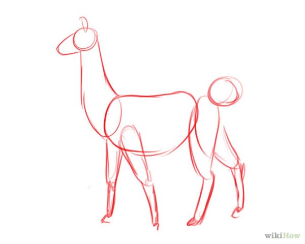 Альпака раскраска