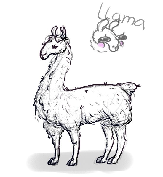 Лама для срисовки карандашом