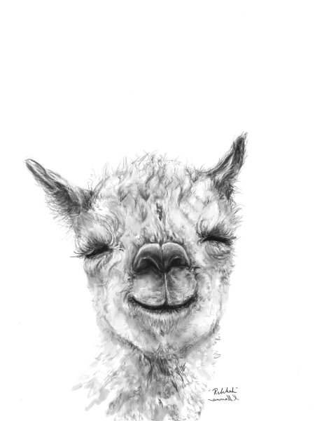 Зарисовки для ламы