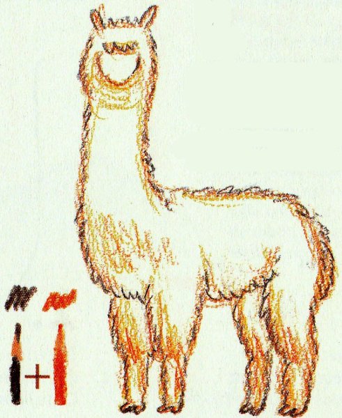 Лама вектор