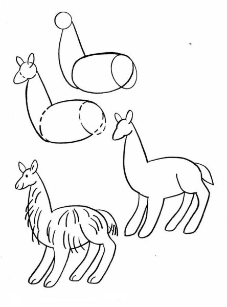 Лама карандашом