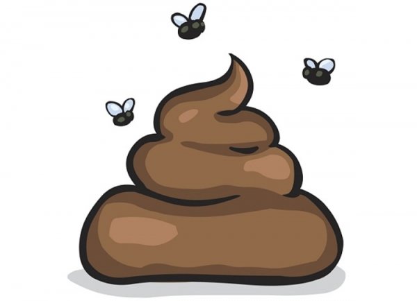 Какашка рисунок