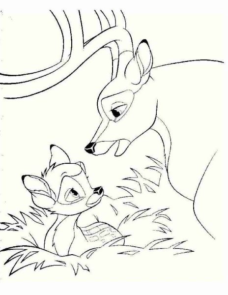 Раскраска Олененок с мамой