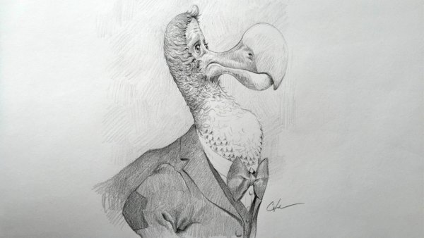 Додо карандашом