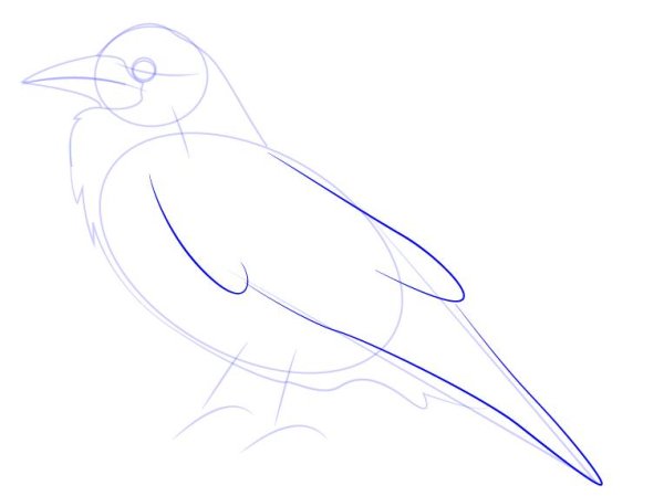 Поэтапное рисование Грача для детей