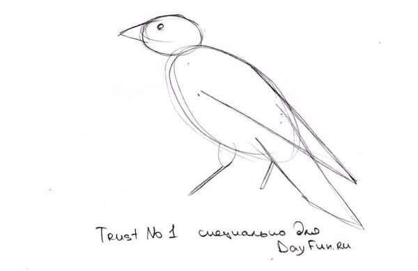 Ворона раскраска для детей