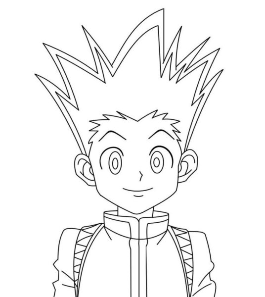 Гон Хантер х Хантер