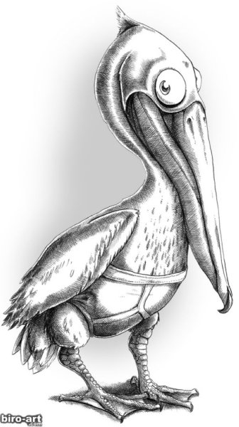 Рисуем пеликана