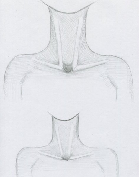 Аниме ключицы