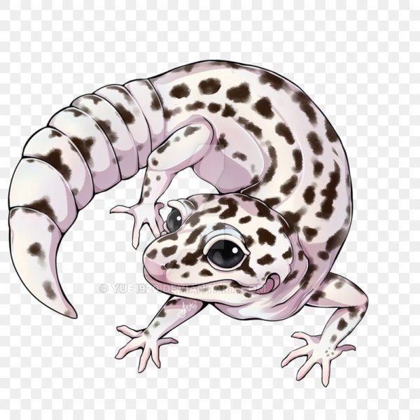 Геккон эублефар арт