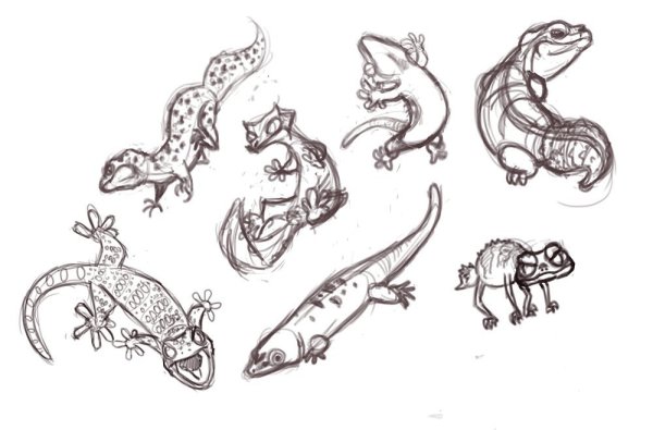 Эублефар референс