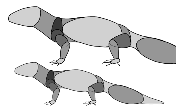 Эублефары фурри