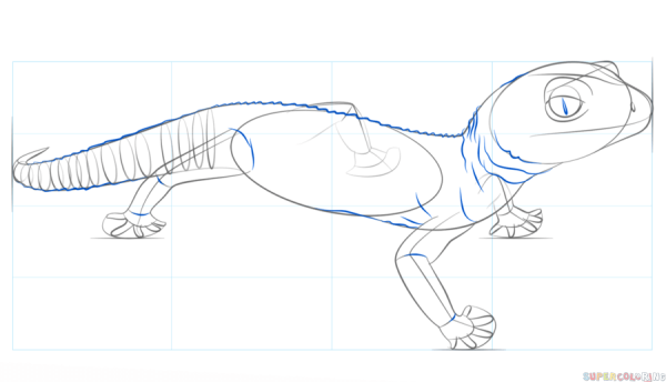 Эублефар рисунок карандашом