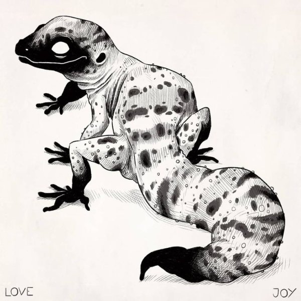 Скетчи гекконов