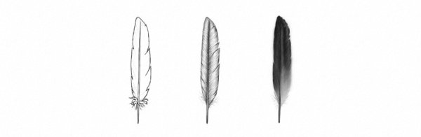 Перо птицы для рисования