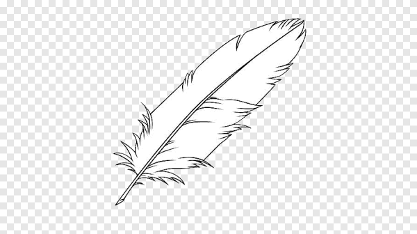 Перо голубя рисунок