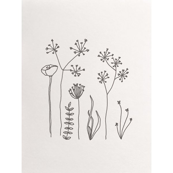 Гипсофилы эскиз тату