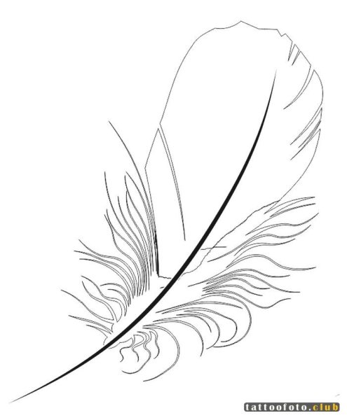 Перо птицы для детей 1 класса