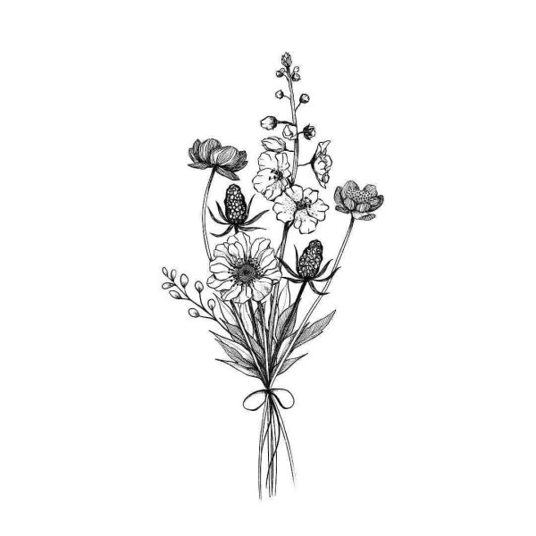 Полевые цветы набросок