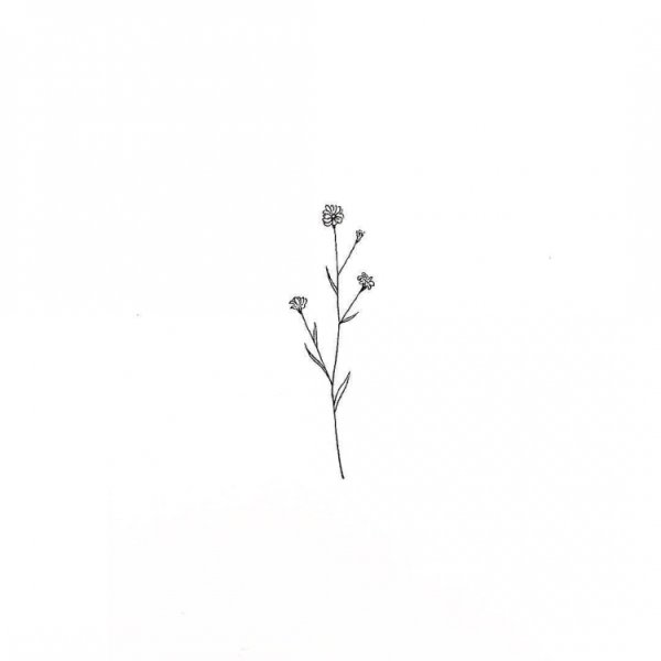 Веточка Минимализм