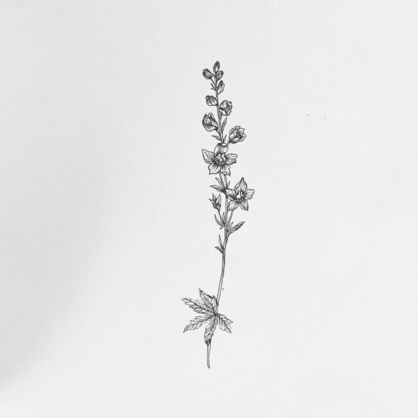 Веточка цветов Минимализм