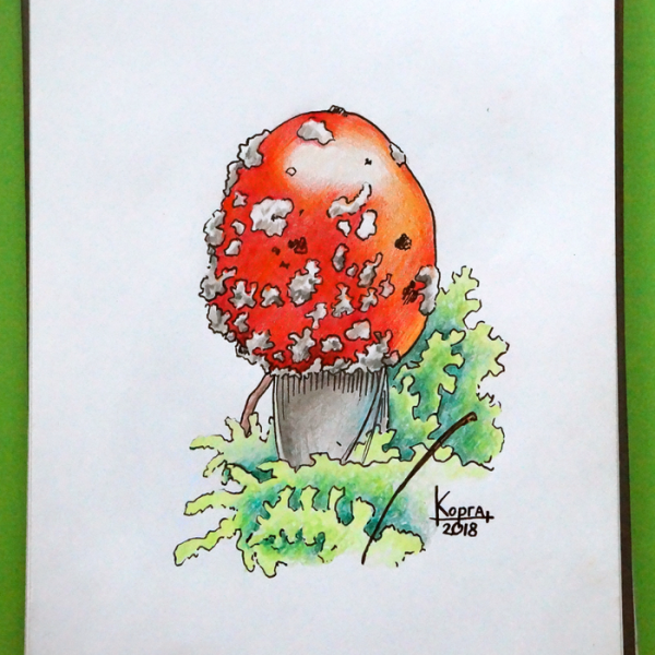 Грибы акварелью