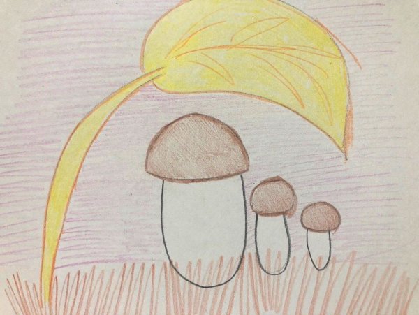 Подберезовик, подосиновик, моховик, мухомор