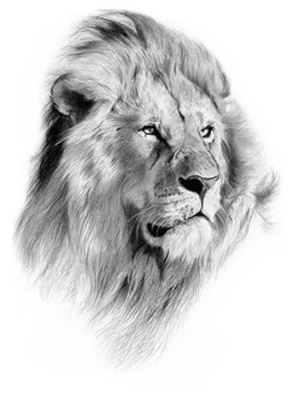 Рычащий Лев тату