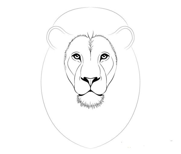 Голова Льва для рисования