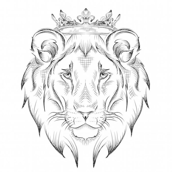 Гипсовый Лев в карандаше