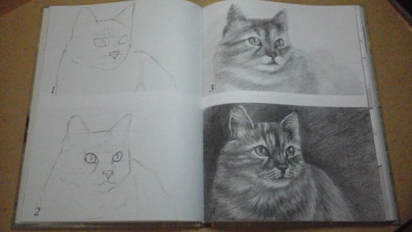 Егор Матита школа рисования